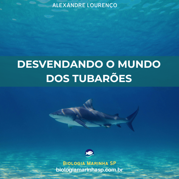 Capa do E-book Mestres dos Oceanos