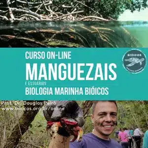 Curso online de Manguezais