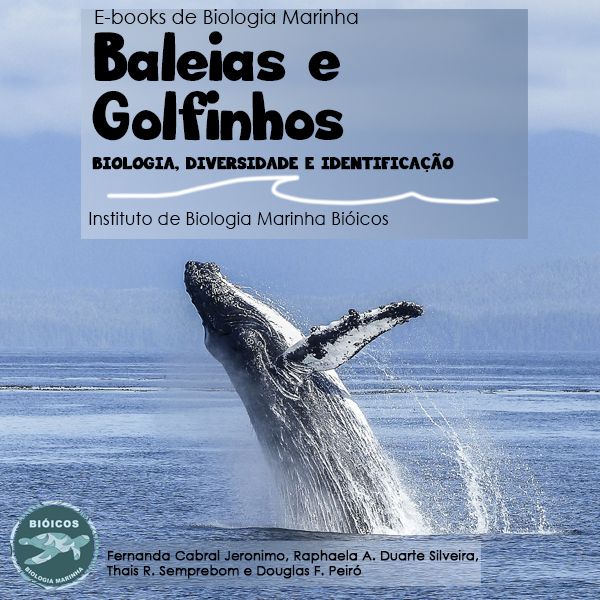 E-book sobre Baleias e Golfinhos