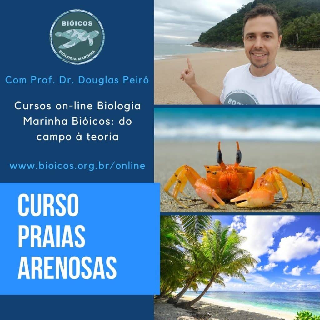 Curso online de Praias Arenosas