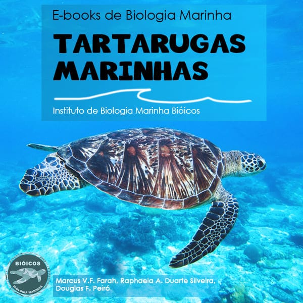 E-book sobre Tartarugas Marinhas